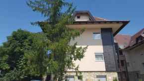 Отель Apartment Caka, Златибор